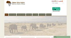 Desktop Screenshot of bigmacafricasafaris.com